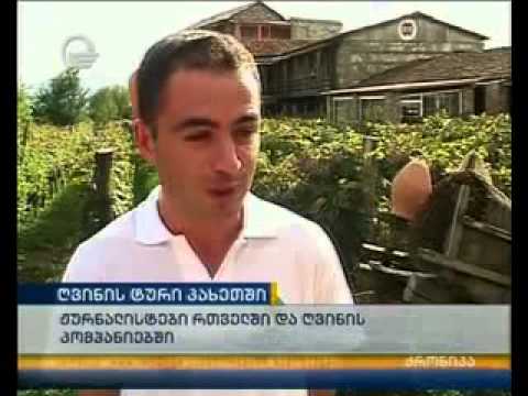 ღვინის ტური კახეთში - რთველი 2013