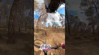 Confused Dog Runs the Wrong Way on Weekend Bike Ride