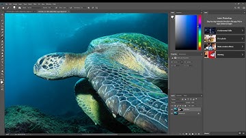 How to Remove Backscatter Quickly with Photoshop