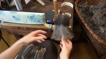 Wool Combing ~  Romney, Mr. Bates