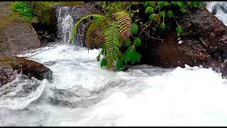 Relax & Fall Asleep In Minutes With the sound of the river flowing under the waterfall is soothing