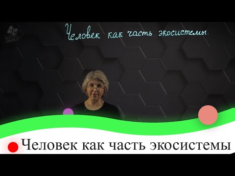 Человек как часть экосистемы. 7 класс.