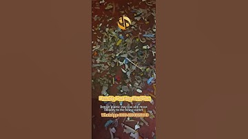 HKDD-Density Separator Machine for PVC and PET Mixtures | High Efficient Sorting Method