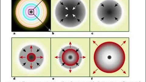 Particle Physics Gravity and the Standard Model