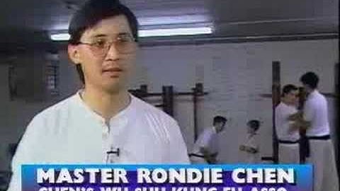 Snake Style Kung Fu - 1994