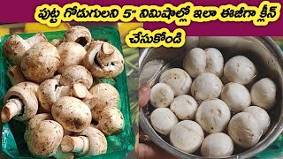 How To Clean Mashroom Before Cooking In Telugu Mushroom Cleaning And Cutting In Telugu