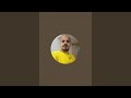 اعتزلت الكبسه اعتزلت الكبسه