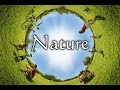 English Poem for kids "Nature"