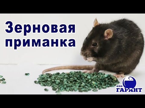 Универсальная приманка от крыс и мышей.Готовая к применению форма(зерно). Антикоагулянт ll поколения