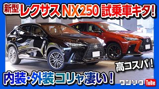 【一番安い新型レクサスNXでも内装はスゴイ】LEXUS NX250 version Lの試乗車キタ!! これが一番の高コスパモデル!! 内装&外装レポート