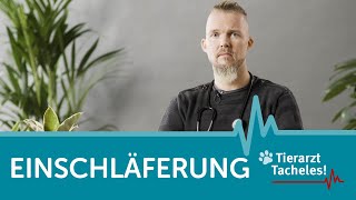 Einschläferung | Tierarzt Tacheles mit Sebastian Goßmann-Jonigkeit | ZooRoyal