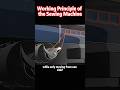 Woeking Principle of the Sewing Machine #interesting #knowledge #science #history