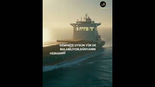 Rebornship®Shipping Group Agency #shipping #maritime #marineservices  #turkey#shipagency #agency