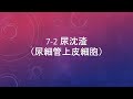 7-2 尿沈渣（尿細管上皮細胞）