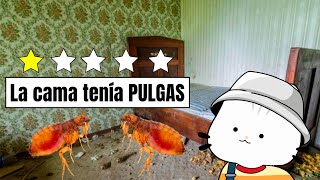 Dormí En Los Hoteles Más Baratos De Cancún