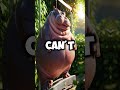 Can you outrun a hippo? | 5 fun facts about hippos #facts #wildlife #nature #shorts