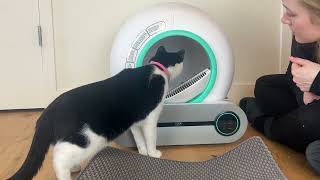 Setting up the EXPEDMAN automatic litter box