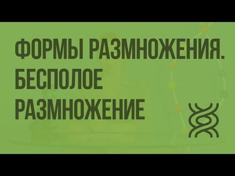 Формы размножения организмов. Бесполое размножение