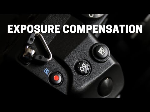 5 Exposure Compensation Tips For Olympus OM-D