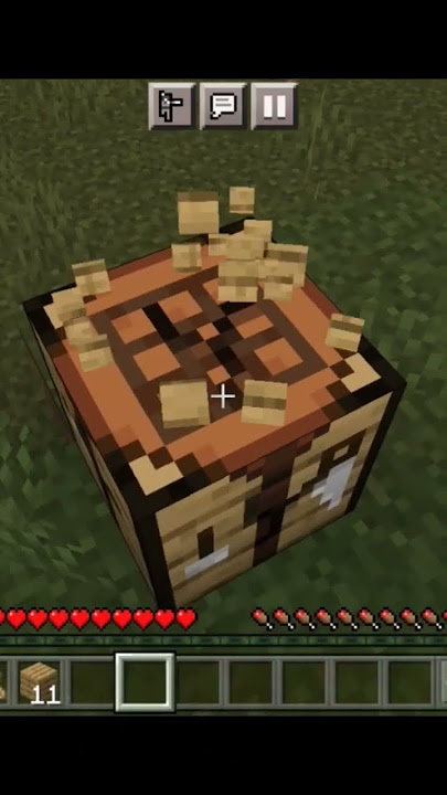Minecraft fire mc smp pink shoy world spen