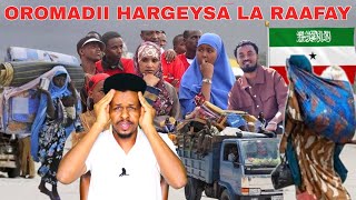 Oromadii Hargeysa Joogtay Oo Manta La Raafay Kadib Markii Dhulka Somaliland Sheegteen.