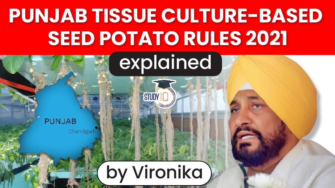 Punjab becomes first Indian state to give nod for Tissue Culture Based Seed Potato, Punjab Govt Jobs