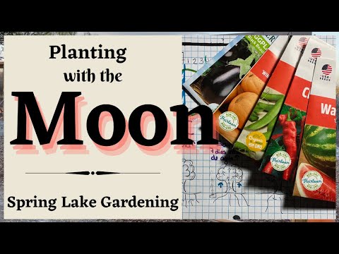 Planting by the Moon