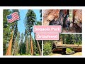 "Óriásfenyö" Sequoia National Park Kalifornia   Amerikai Kirándulás