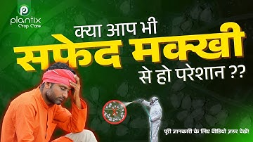 THIOLICA (Thiamethoxam 12.6% + Lambda Cyhalothrin 9.5 % ZC)