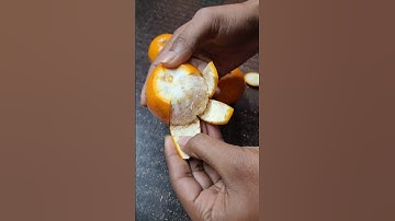 Netaji Subhas Chandra Bose  #independenceday #viralvideo #trending #shorts