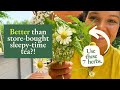The Best Herbs for Sleep - How to Make your Own Potent Sleepy-Time Blend