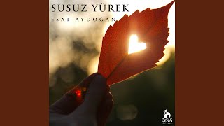 Susuz Yürek — Esat Aydoğan kapak görseli