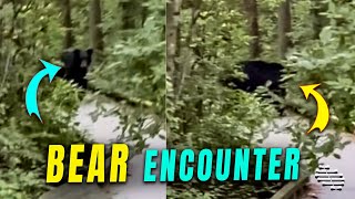 Family's Encounter with a Black Bear During a Walk