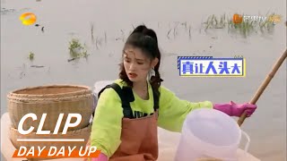 Lin Yun Qianfeng turned into a count shrimp machine without feelings?《天天向上》Day Day Up【MGTV English】