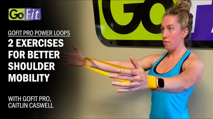 Gofit Mini Muscle Hook With Training Manual : Target