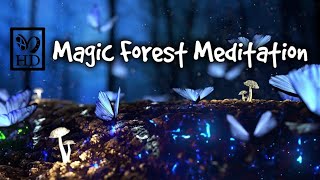 Magic Forest with Birds Singing and Calmint Meditation Music 10 Hours