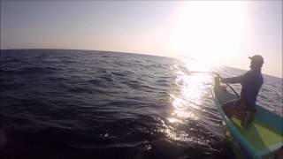 Big Game Fishing Costa Rica Sailfish on troll pro , 3rd person view, Panoramic view