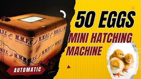 How to Make a Mini Egg Incubator at Home | Budget DIY Hatching Machine