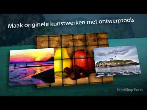 PaintShop Pro X5 - Nederlands