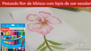 Pintando flor de hibisco com lápis de cor escolar screenshot 4