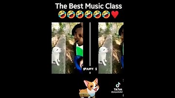 THE BEST MUSIC CLASS 🤣😅😅 #dog #funnyvideo #funny #tiktok #tiktokvideo