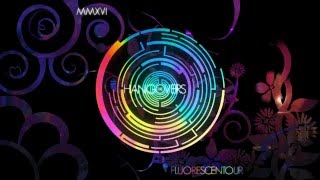 The Hangovers - Fluorescentour Highlights