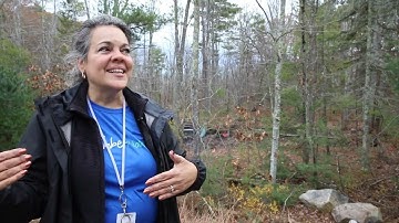 Teacher explains the beauty of child-led learning