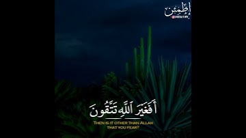 تلاوة هادئة تريح القلب بصوت القارئ احمد النفيس 💙💙 حالات واتساب //ستوريات قرآن