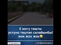 Тентектер тамашасы