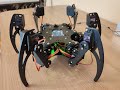 Hexapod Robot - Testing / Робот Гексапод