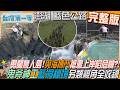 [全新] 澎湖【藍色公路暢遊澎湖 一日一島嶼"與世隔絕西吉嶼 "勇闖無人島！與海搏鬥 搶灘上岸陷危機?!/神秘藍洞另類視角全收錄】│2026.06.07│《台灣第一等》完整版