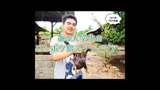 【ロンボク島スタディツアー2019】by ゆいツール #shorts #ecotourism #indonesia #lombok #bali #desawisata
