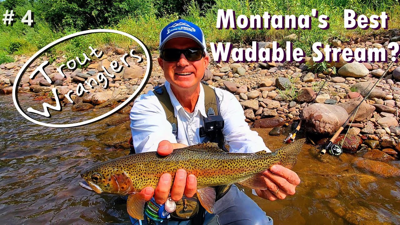 Montana's Best Wadable Stream?  Trout Wranglers (Episode 4) 