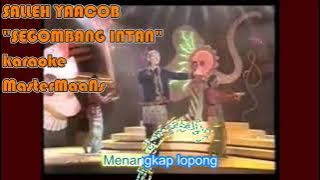 SALIH YAACOB   SEGOMBANG INTAN KARAOKE MINUSONE